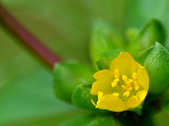 DSC_23131.jpg