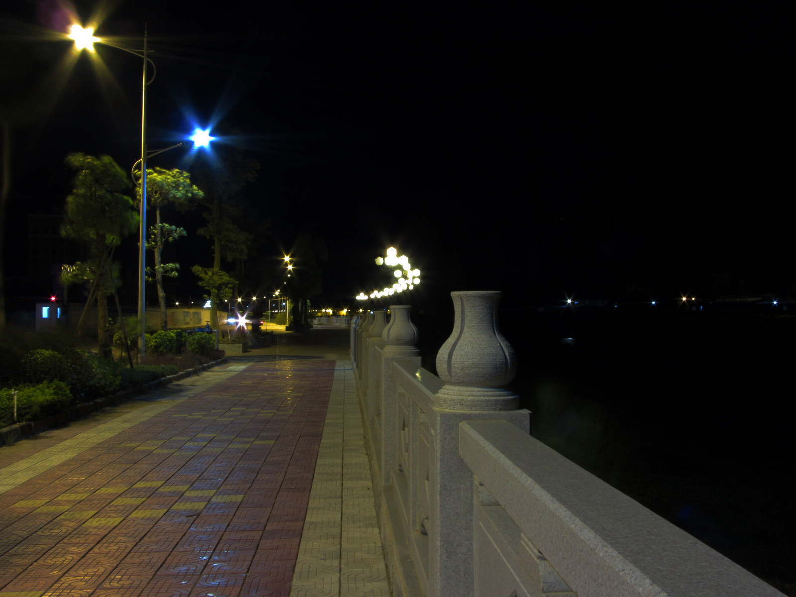 IMG_2570.jpg