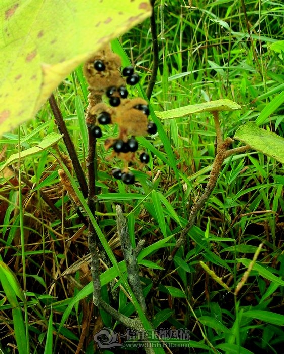 DSCN9032.JPG