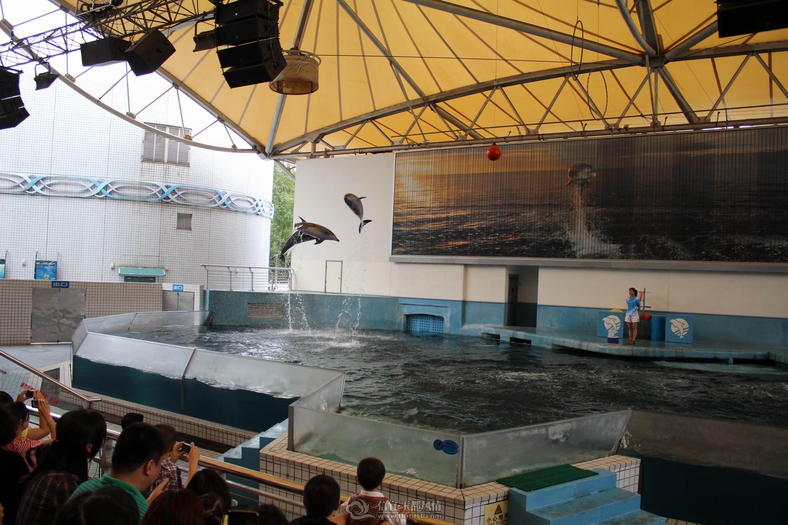 ������С IMG_2046.JPG