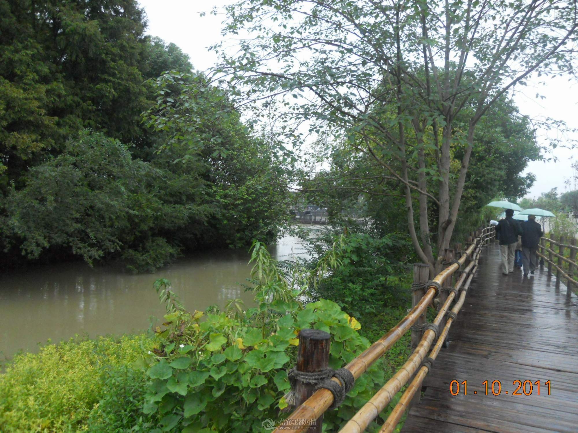 DSCN1231.JPG