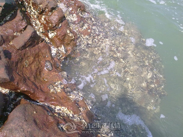 201109102644.jpg