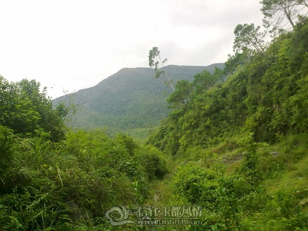 201110032888.jpg