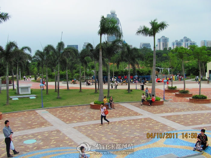 IMG_7082.jpg