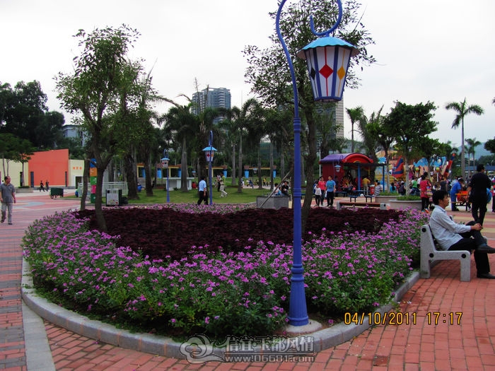 IMG_7146.jpg