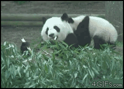 δ����.gif
