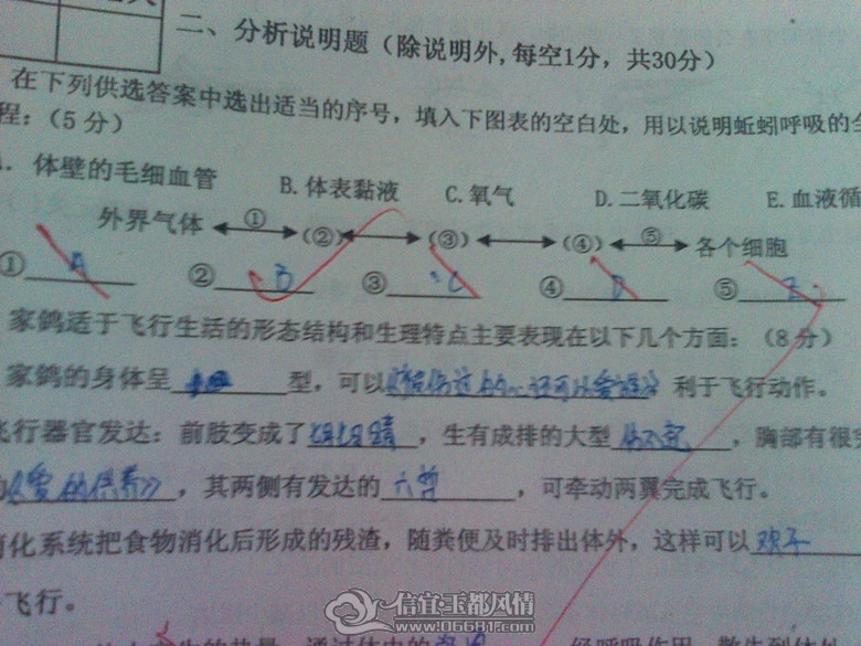 怎么出试卷的 1743161wjz4y8d48yl9ett.jpg