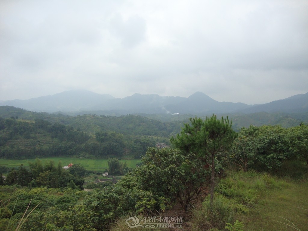 DSC08284~1.jpg