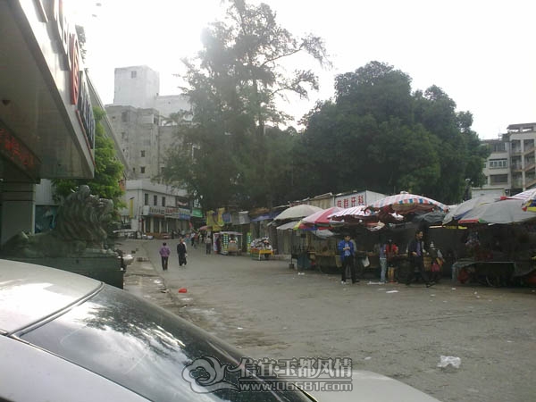 201110042926.jpg
