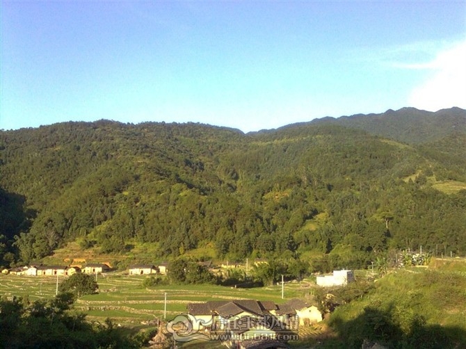 psuCA0GZ923.jpg