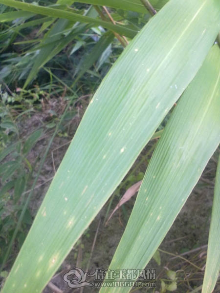 201110052953.jpg