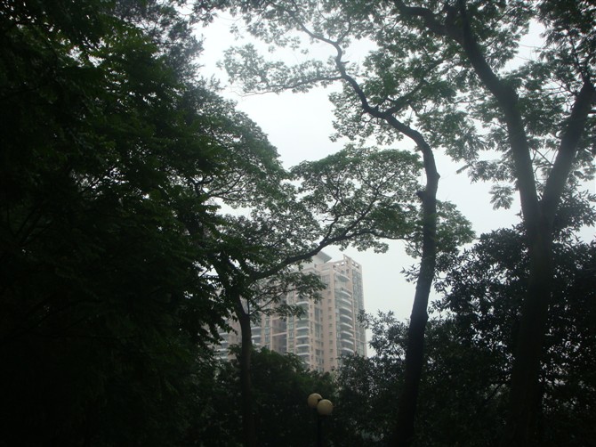 w.jpg
