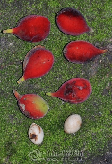 40B.jpg
