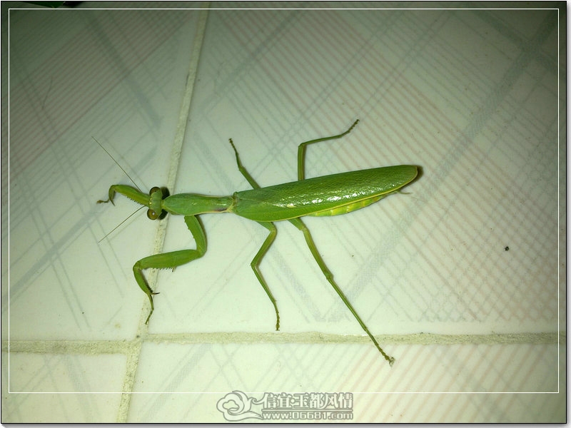 20111012168_1.jpg