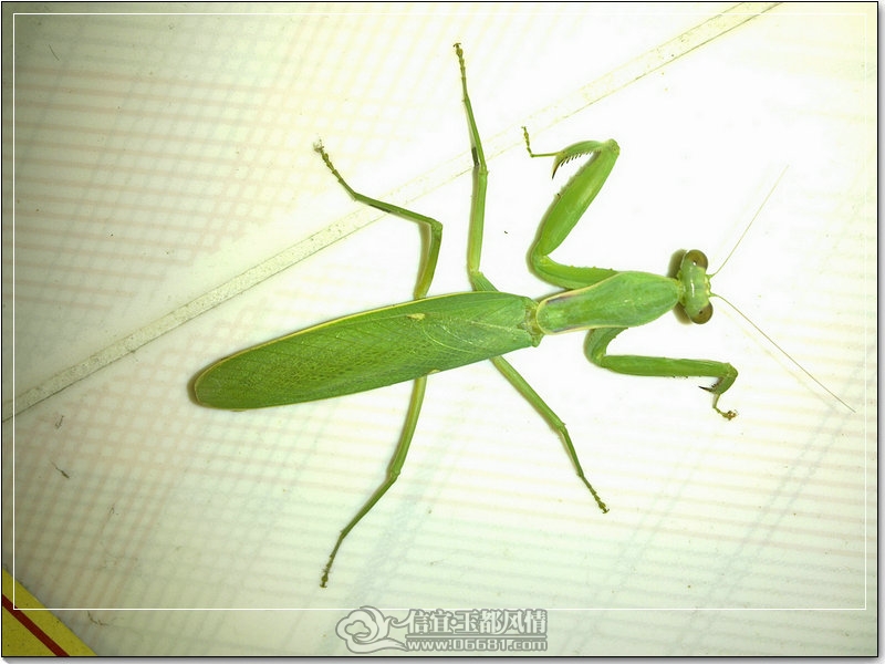 20111012165_1.jpg