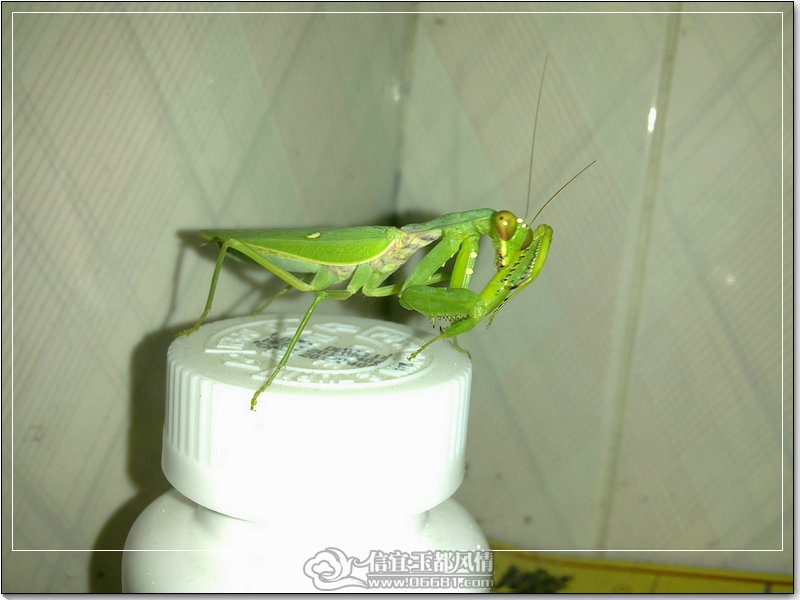 20111012158_1.jpg
