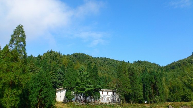 DSC_0116.jpg