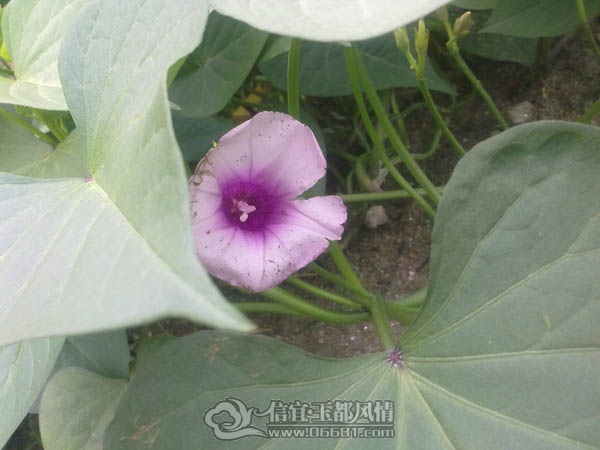 201110052959.jpg