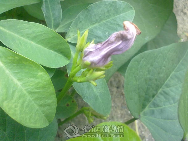 201110052957.jpg