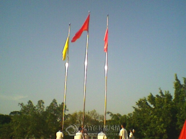 IMG0528A.jpg