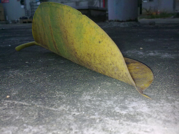 201110213051.jpg