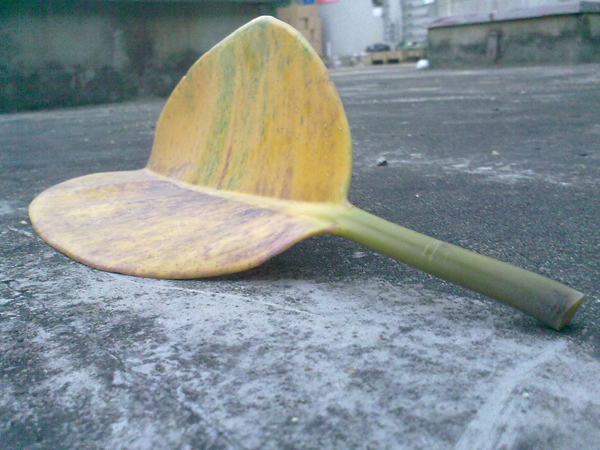 201110213050.jpg