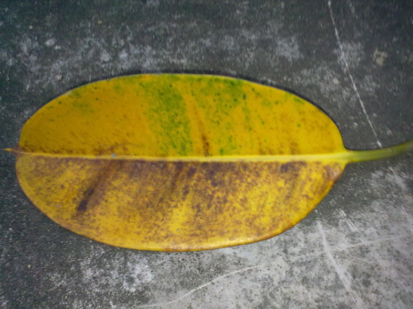 201110213048.jpg