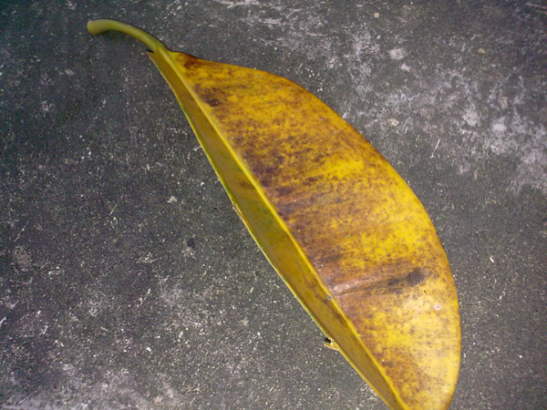201110213052.jpg