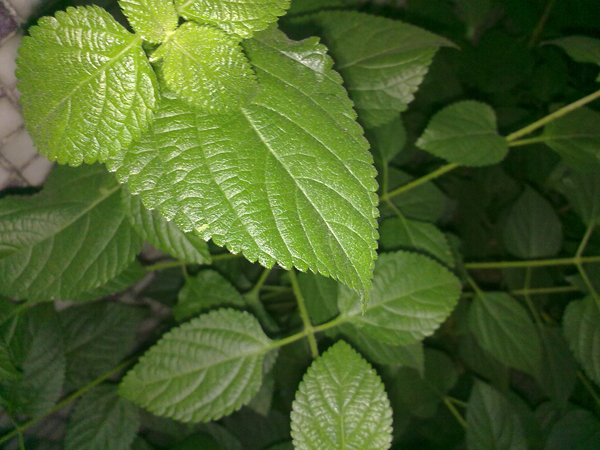 201110213061.jpg
