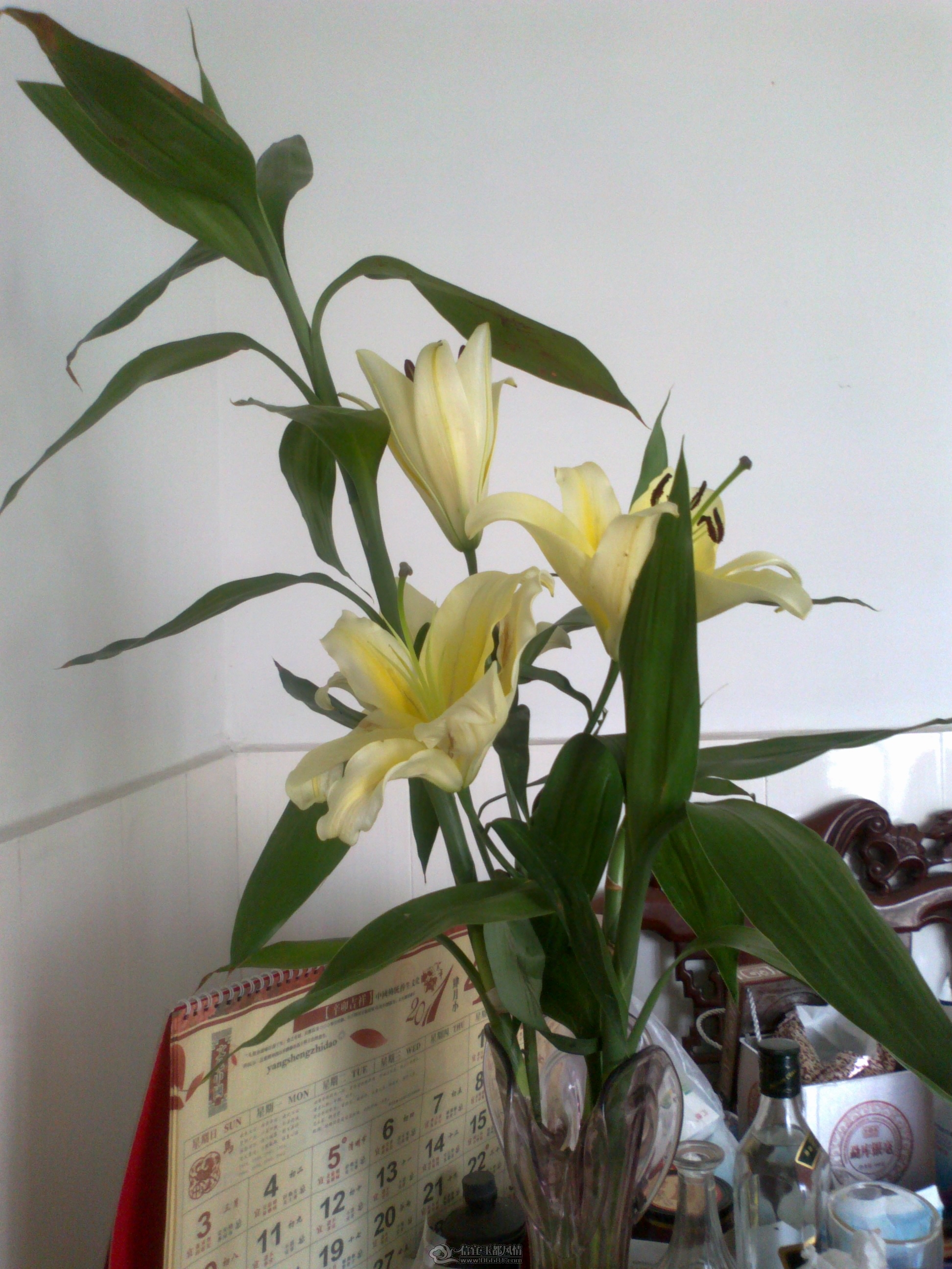 20111023238.jpg