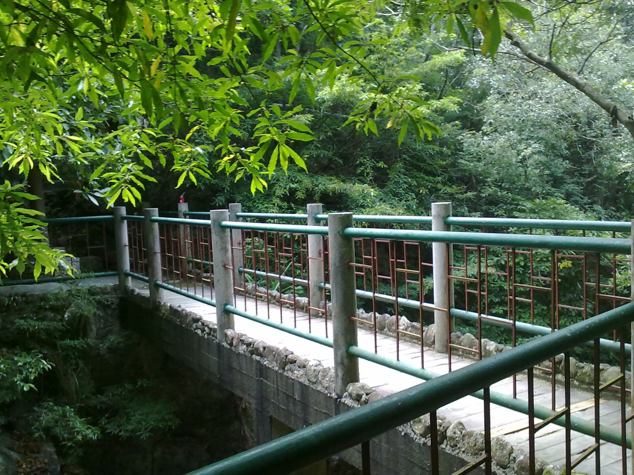 201109111568.jpg