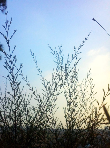 IMG028.jpg