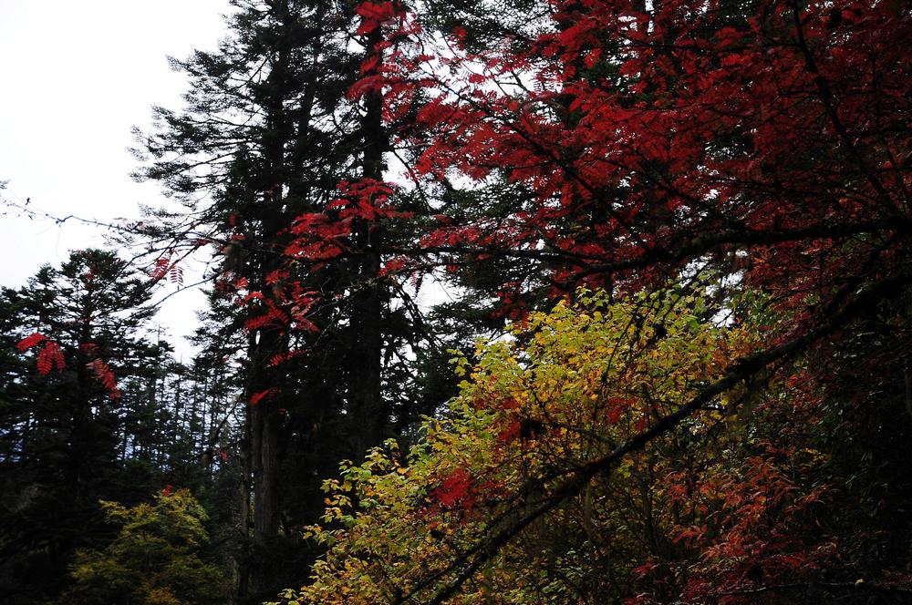 DSC_0178.jpg