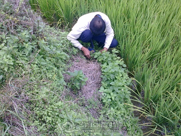 201110032907.jpg