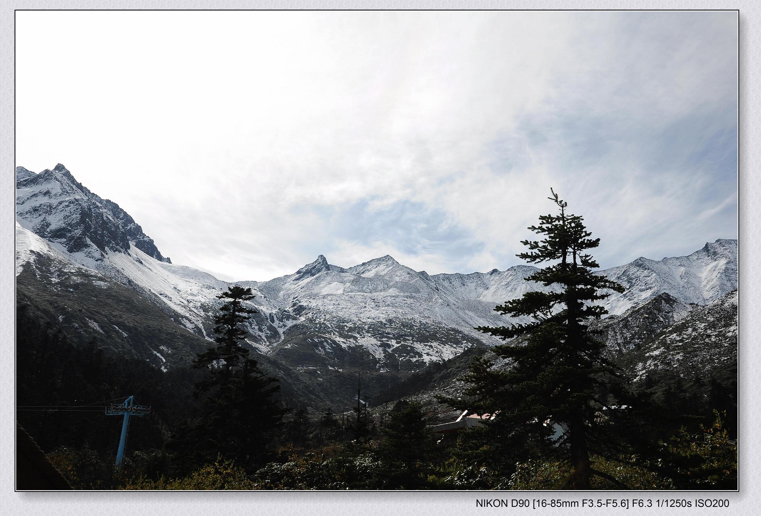 DSC_0317.jpg