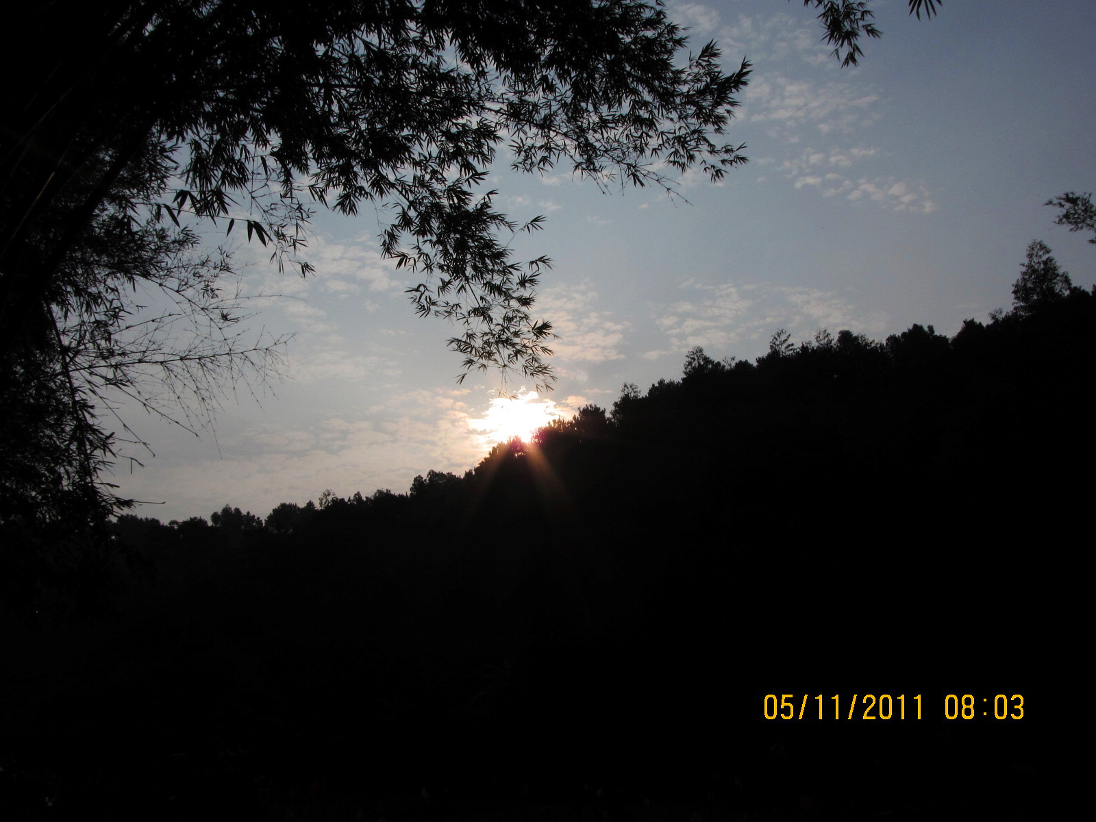 IMG_1388.jpg