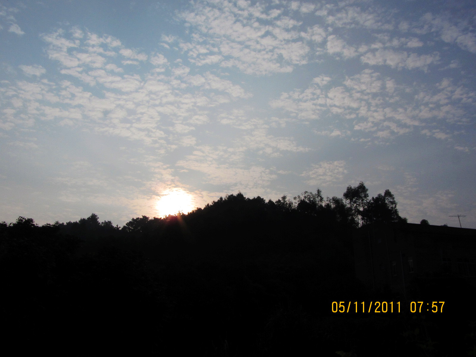 IMG_1383.jpg