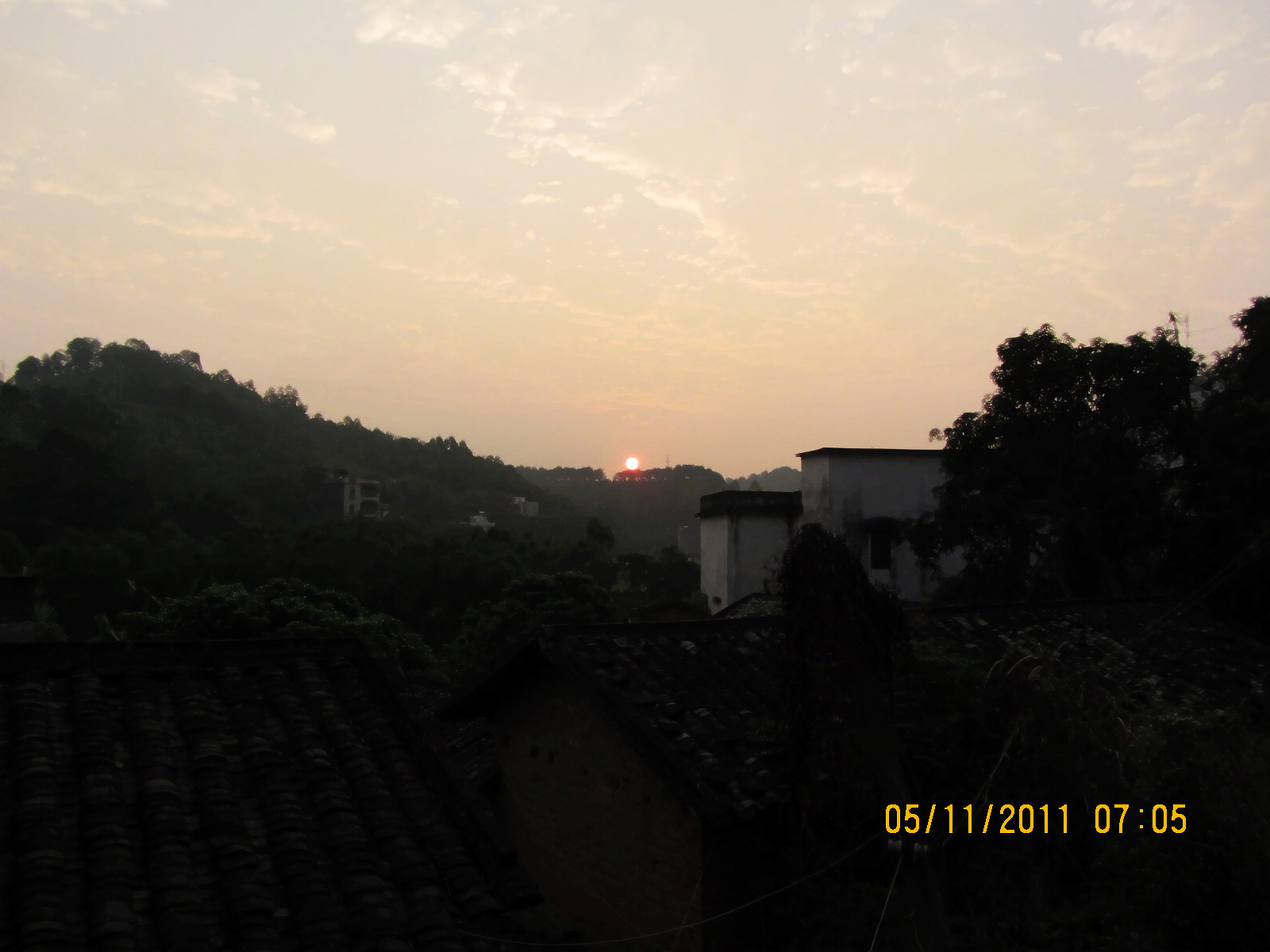 IMG_1351.jpg