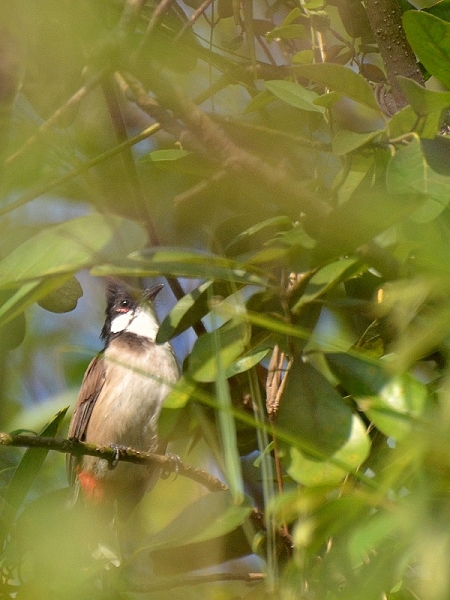 DSC_2680.jpg