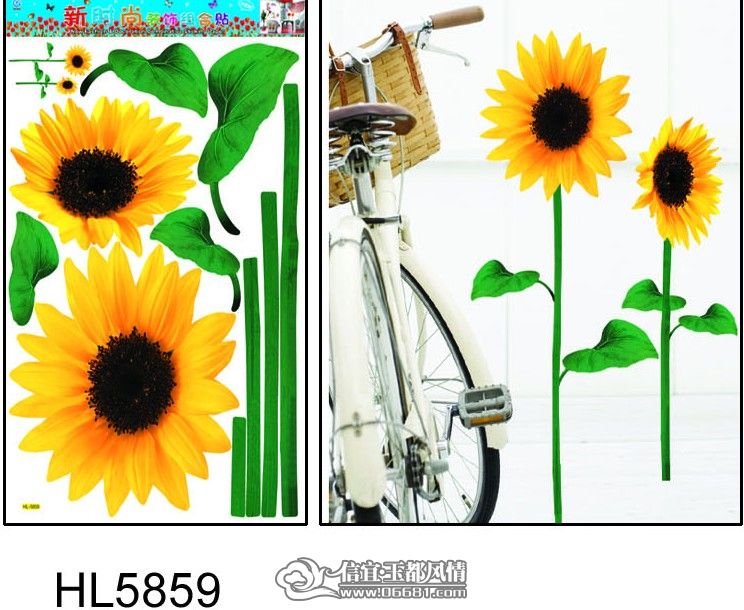 �¿�HL��������5 ����_conew12.jpg
