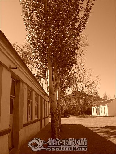 CIMG1096_001.JPG