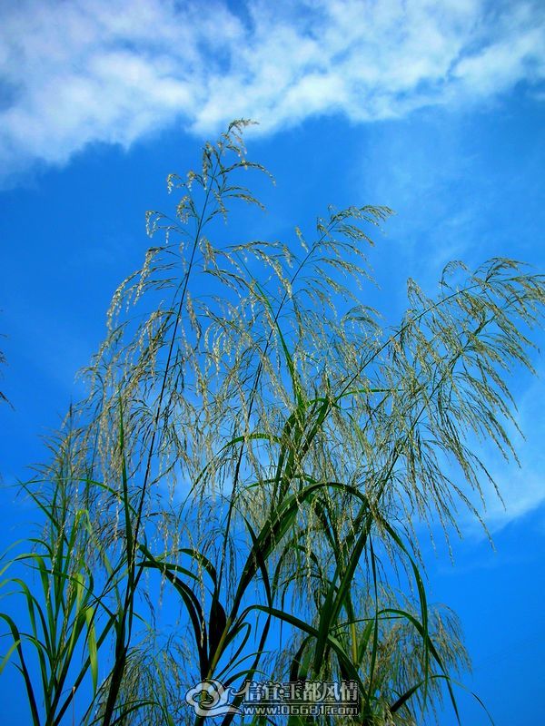 DSCN9575.JPG