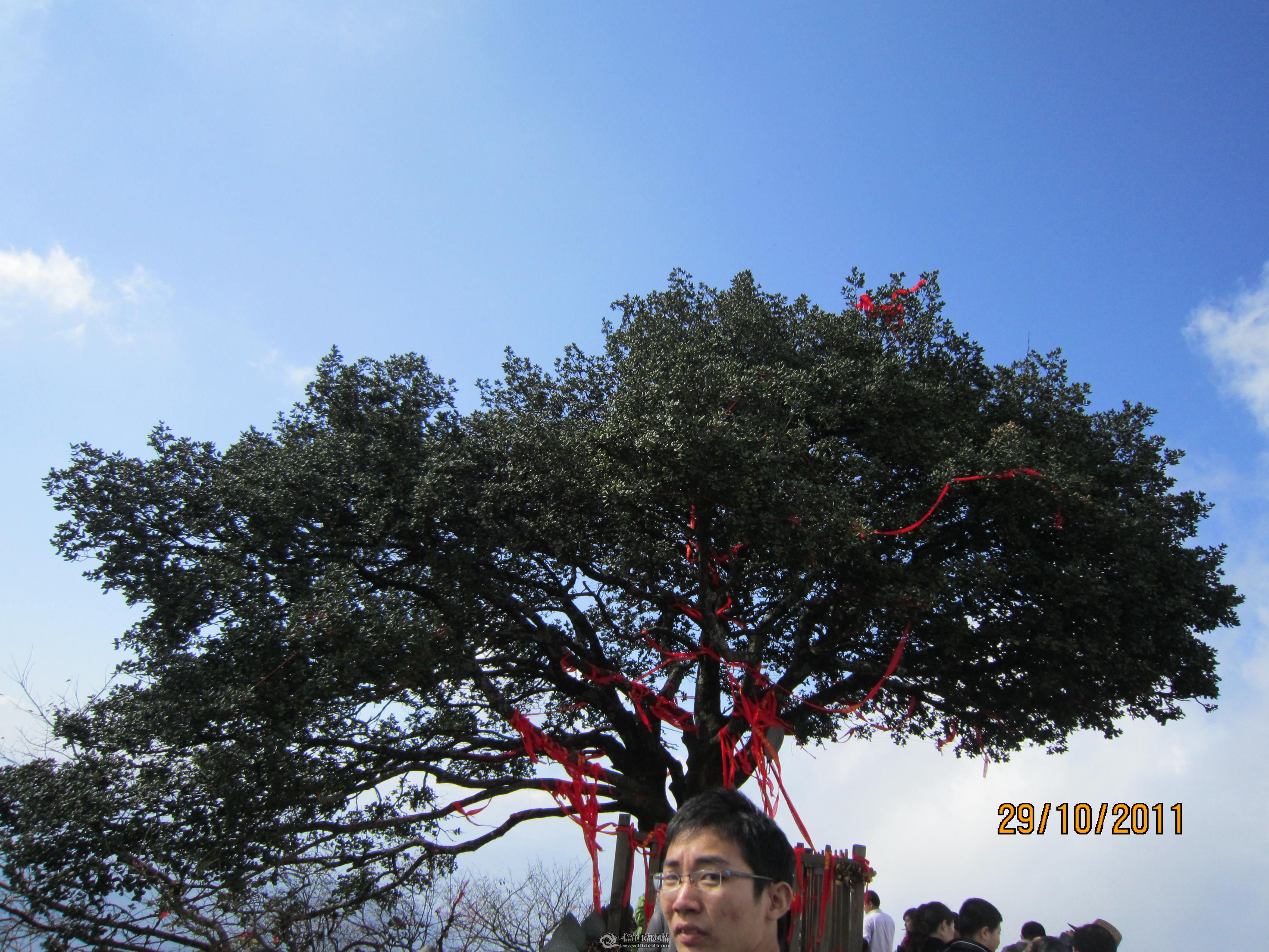 IMG_1675.JPG
