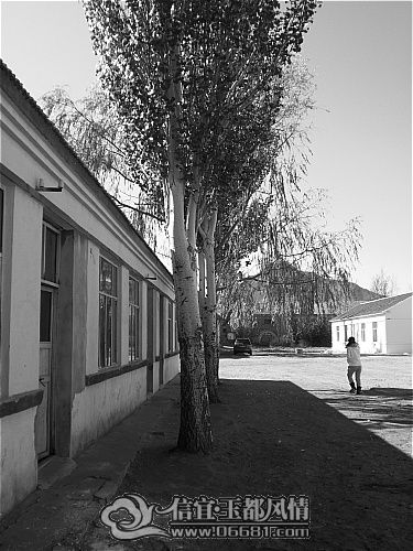 CIMG1097_001.JPG