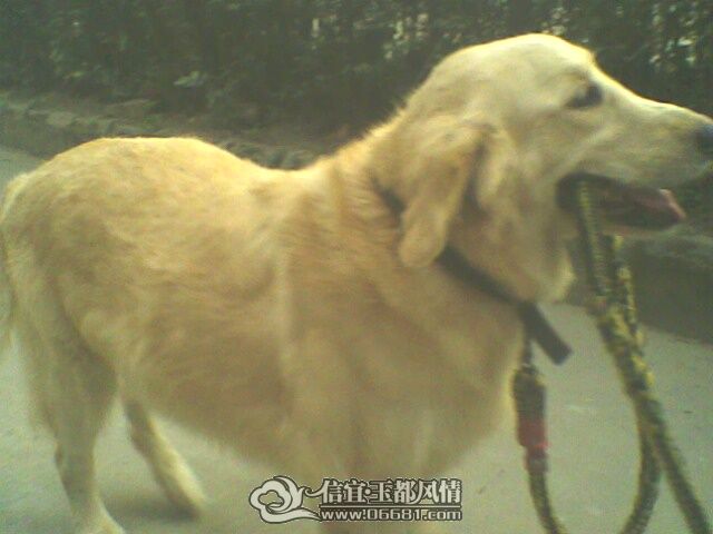 IMG0785A.jpg
