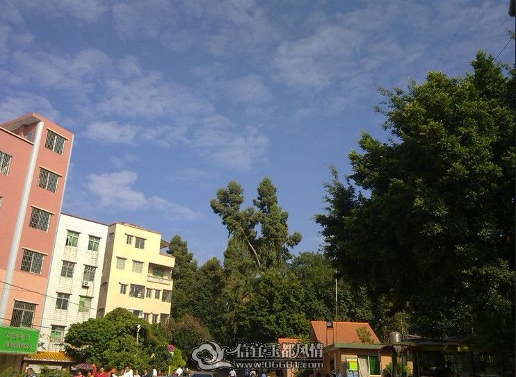 δ��.jpg