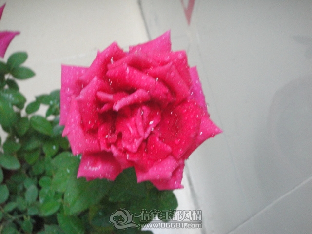 DSC09716.jpg