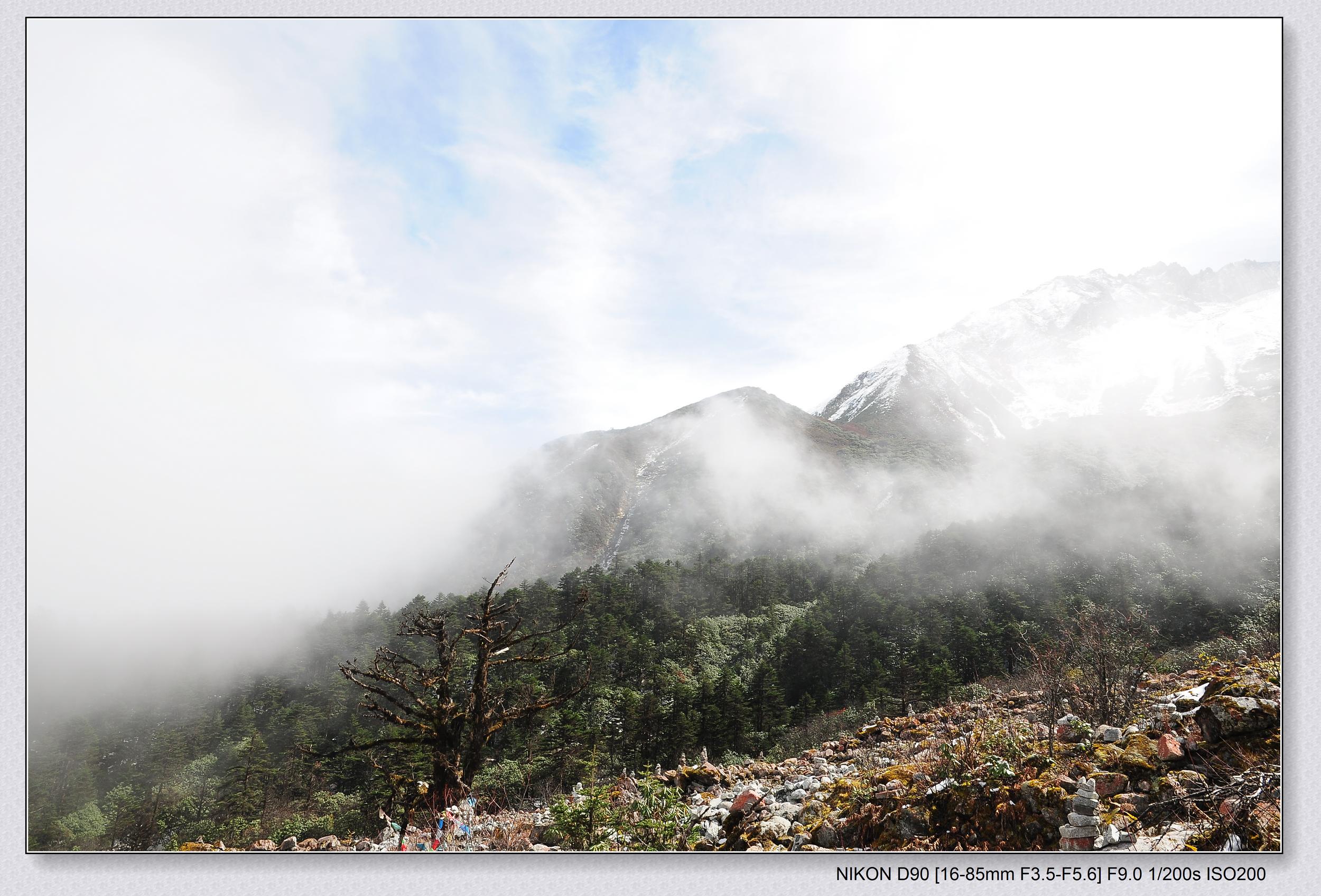 DSC_0405.jpg