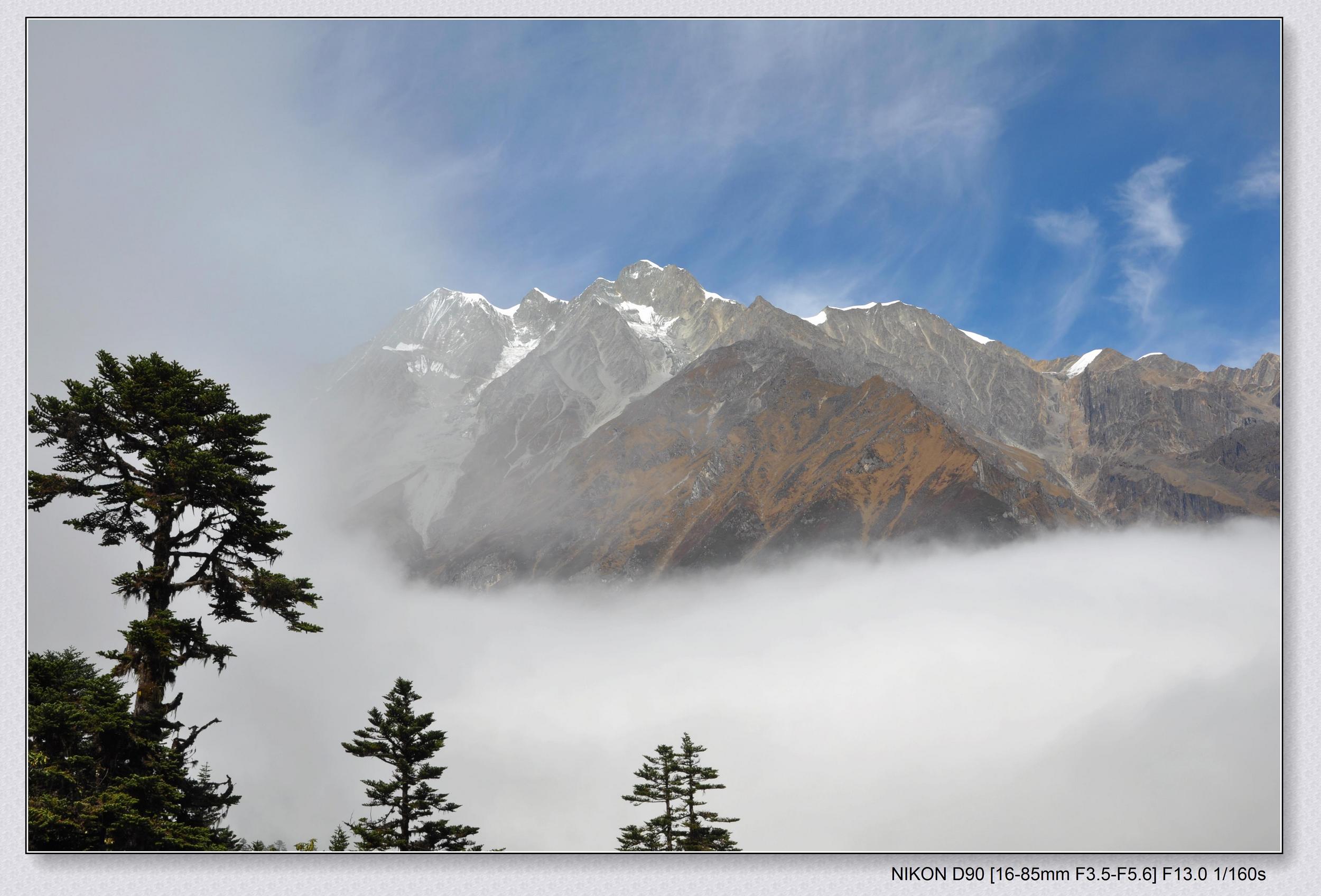 DSC_0441.jpg