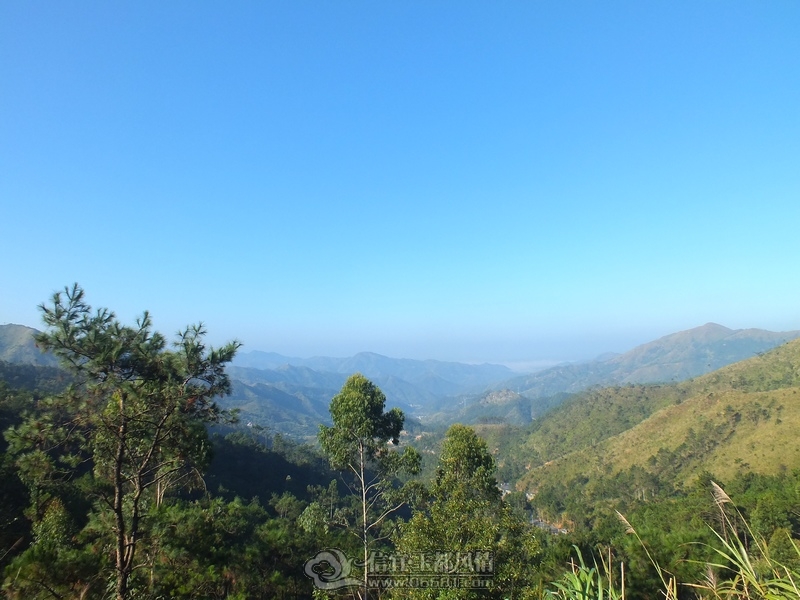 DSCF2693.jpg
